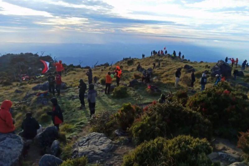 8 Pendaki Unifa Didenda Rp500 Ribu Gegara Tak Punza Izin Masuk Kawan Konservasi
