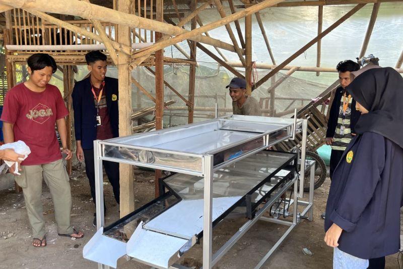 Begini Cara Mahasiswa Unej Bikin Teknologi Inovasi Peternakan Ayam Ramah Lingkungan