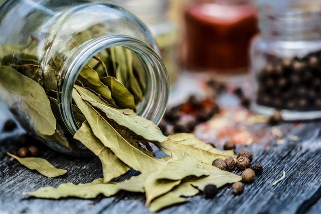 Begini Cara Merebus Daun Salam untuk Menurunkan Kolesterol