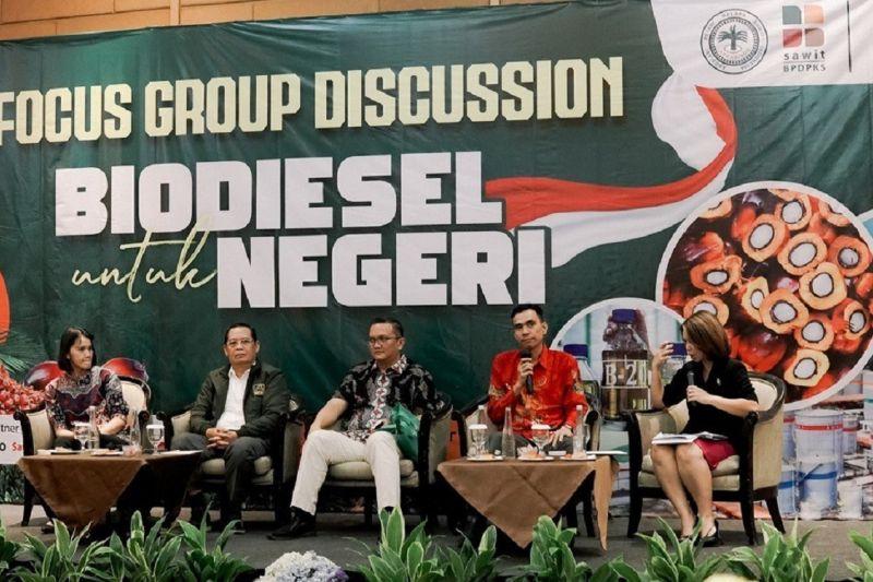 Keberlanjutan Program Biodiesel Dinilai Perlu Penanganan Sektor Hulu Sawit