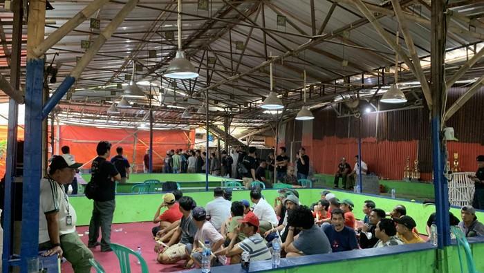 Polisi Gerebek Arena Judi Sabung Ayam di Bekasi: Penonton Jadi Pemasang