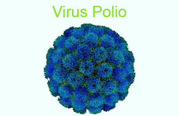 Daftar Provinsi dan Jadwal Pekan Imunisasi Nasional Polio 2024