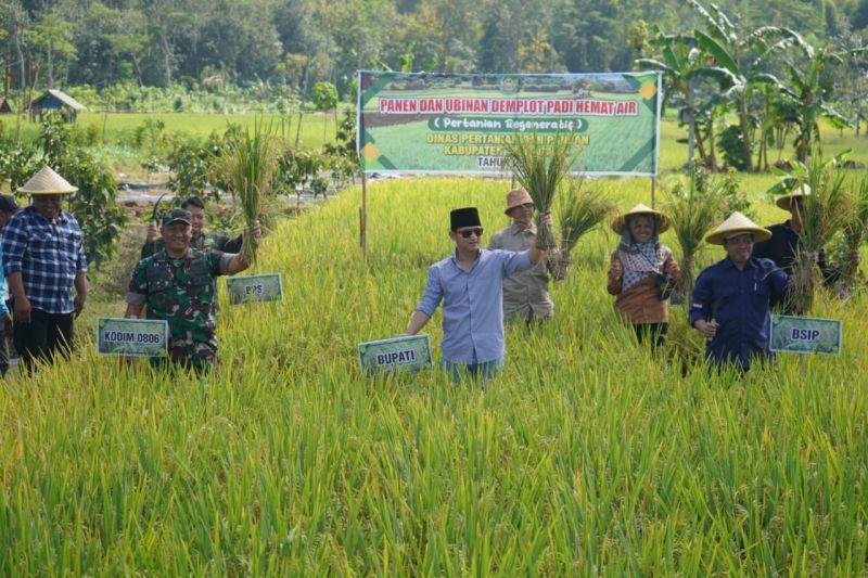 Iklim Tak Menentu, Trenggalek Kembangkan Pertanian Hemat Air di Lahan Kering