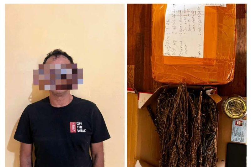 Polda Kalbar Tangkap Warga Simpan 1 Kg Ganja dari Aceh