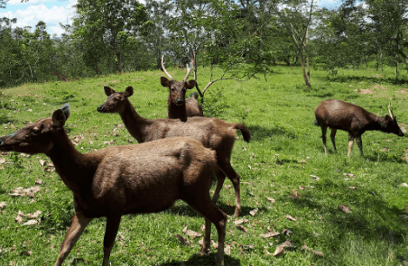 Wisata Telaga Batu Arang Terus Bersolek sebelum Dibuka untuk Umum