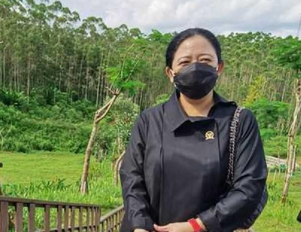 Puan soal Peluang PDIP Usung Anies di Pilgub DKI: Lagi Menimbang-nimbang