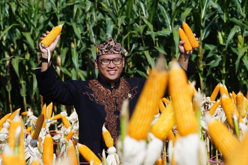 Buka Gebyar Perbenihan, Wamentan Sudaryono Genjot Akselerasi Swasembada Pangan