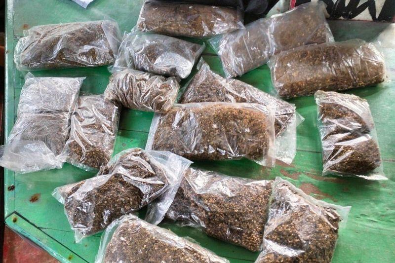 TNI-Polri Gagalkan Selundupan Ganja Siap Edar di Papua, 16 Paket Ganja Disita