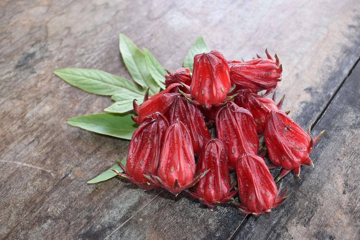 Lima Bunga Ini Bisa Dimakan, Khasiatnya Bikin Awet Muda