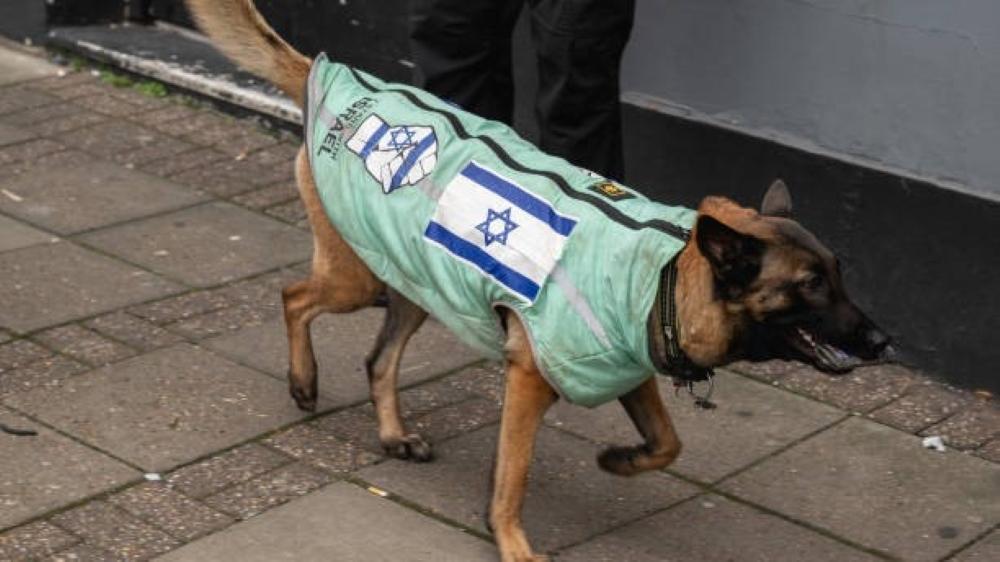 Biadab! 53 Tahanan Palestina Tewas Digigit Anjing sejak 7 Oktober 2023