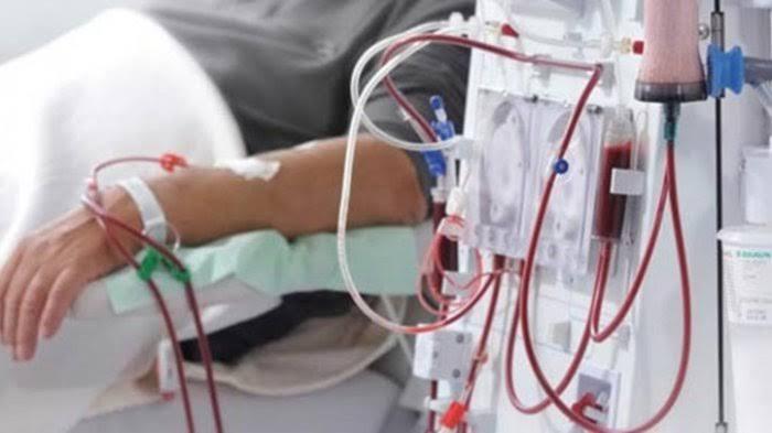 Banyak Kasus Anak Cuci Darah, Komisi IX Soroti Pentingnya Terapkan Pola Hidup Sehat