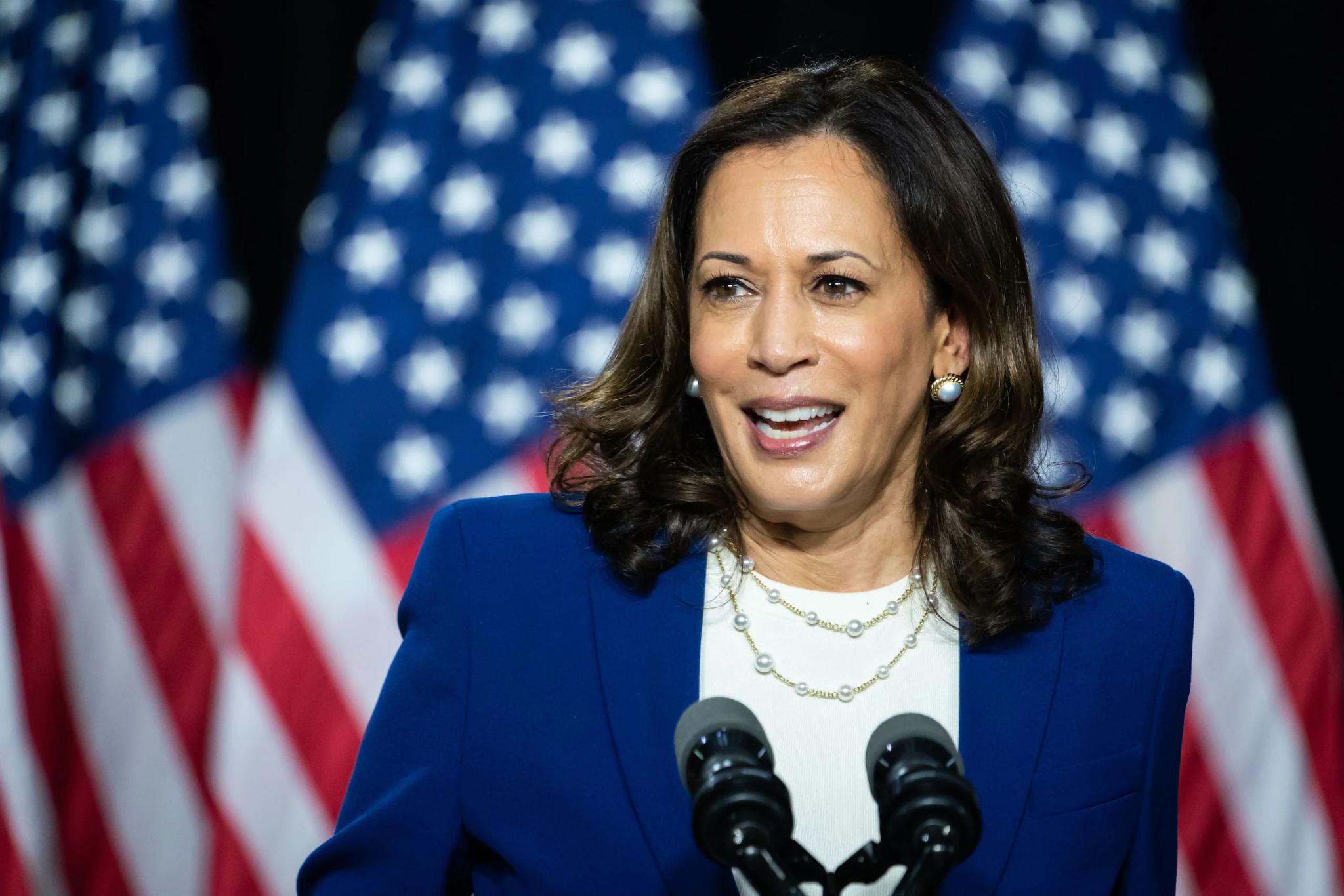 Partai Demokrat Resmi Beri Tiket Kamala Harris Maju Jadi Capres AS