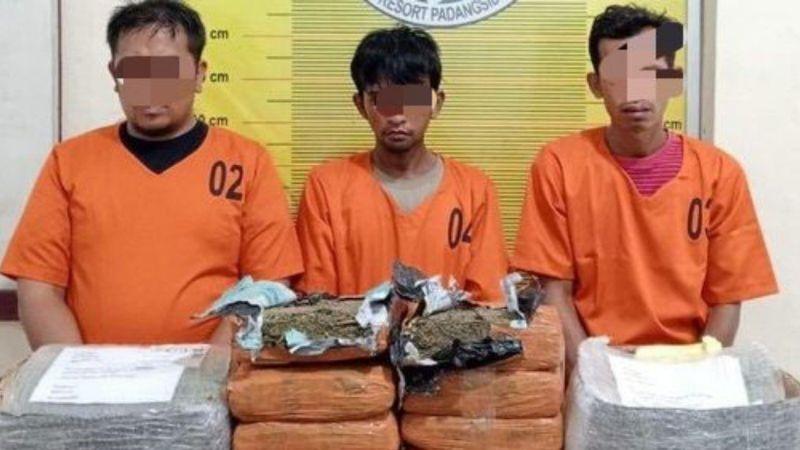 Polisi Gagalkan Pengiriman 10 Bal Ganja dari Sumut ke Bekasi, 3 Orang Diamankan
