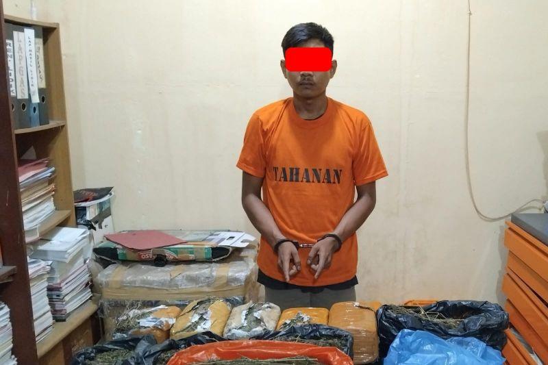 Polisi Sita 7 Kg Daun Ganja Kering Siap Edar di Riau, 1 Orang Ditangkap