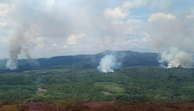 BNPB Pastikan Operasi Karhutla di 6 Provinsi Berlaku Aktif Sampai November