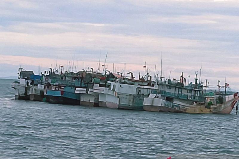 KKP Ungkap Tempat Potensial Penggemukan Ikan Tuna