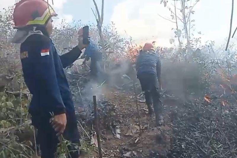 5 Hektare Lahan di Desa Penyangga Kawasan Mandalika Kebakaran
