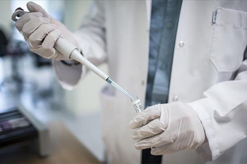 Afghanistan Cari Bantuan untuk Atasi Mpox
