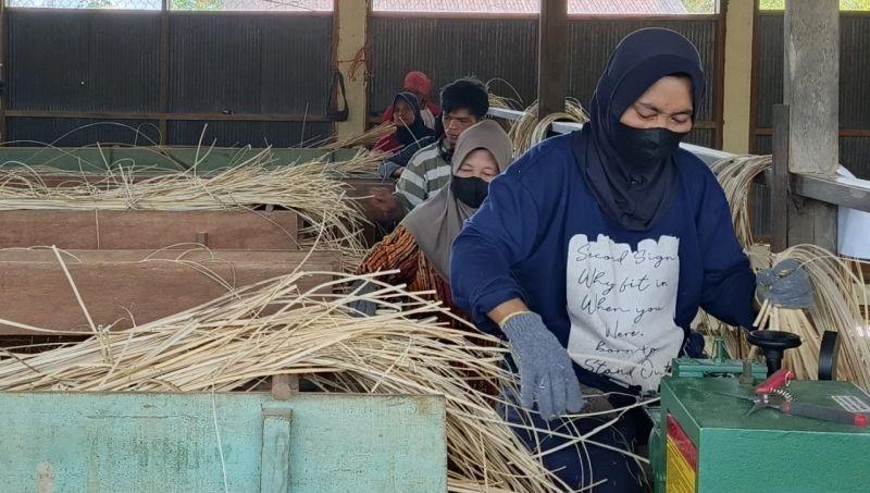 Pertanian Organik Diyakini Ampuh Akselerasi Pemajuan Industri Agro