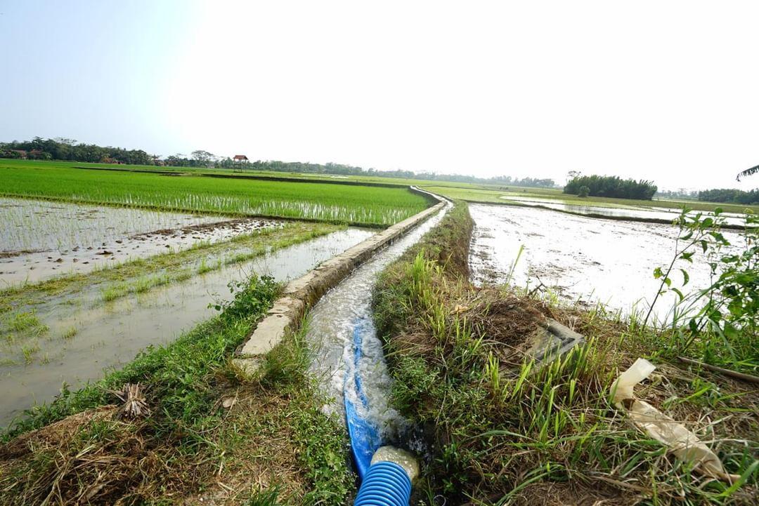 Kementan Buka Kontak Darurat Pompa Bagi Para Petani di Seluruh Indonesia
