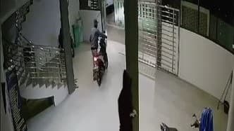 Pencuri Gasak 4 Motor dalam Sehari di Bogor