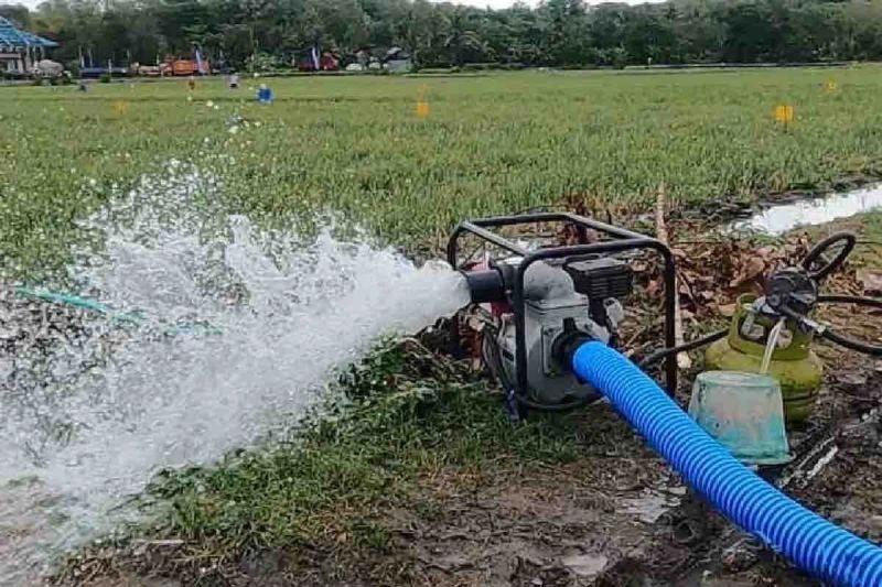 Wahai Petani di Seluruh RI, Kementan Buka Kontak Darurat Pompa Nih!