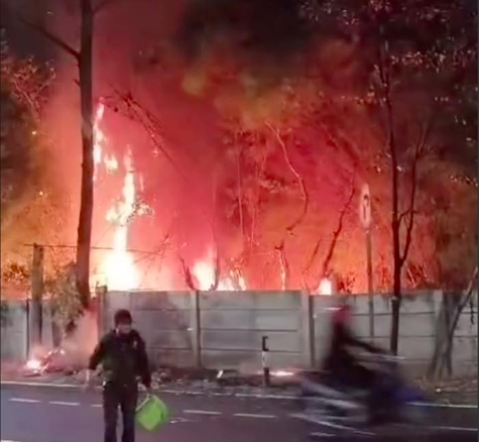 Pepohonan Pinggir Jalan Pesanggrahan Kembangan Jakbar Kebakaran hingga Damkar Kerahkan 2 Unit Mobil