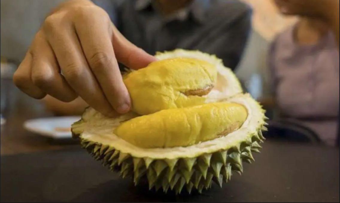 10 Kata-Kata Lucu Tentang Durian yang Bikin Penasaran hingga Tersenyum