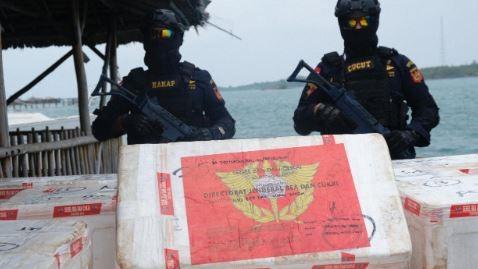 Lagi, Bea Cukai Gagalkan Penyelundupan 275.000 Benih Lobster Tujuan Malaysia