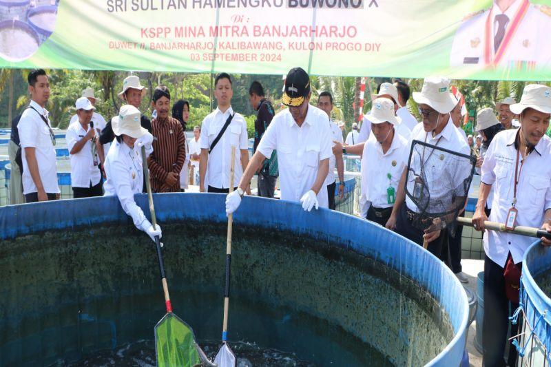 Sultan HB X Minta Masyarakat Gunakan Produk UMKM Lokal