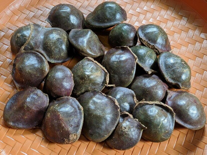 Cara Memasak Jengkol yang Empuk dan Tidak Berbau