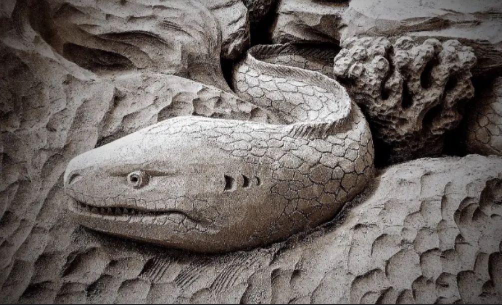 Apakah Belut Laut Bisa Dimakan? Tentu, Ini Penjelasannya