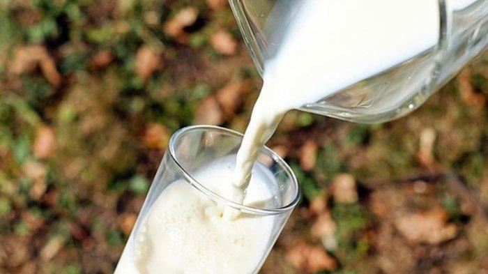 Viral Susu Ikan, Apa Bedanya dengan Susu Sapi?