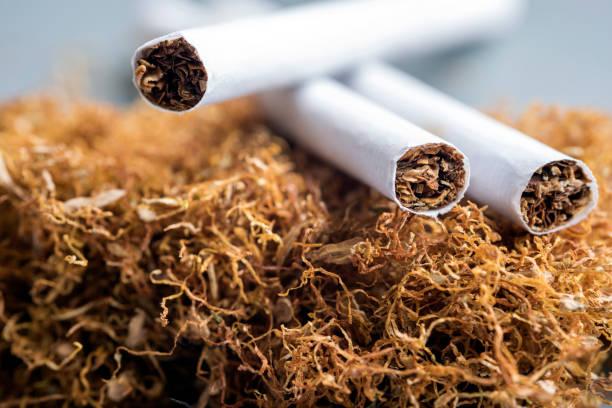 Tak Konsultasi, Komisi IX Kritik Kemenkes Terkait Aturan Kemasan Rokok Tanpa Merk
