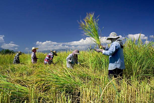 Masih Banyak Petani Miskin, Komisi IV DPR Dorong Percepatan Reforma Agraria