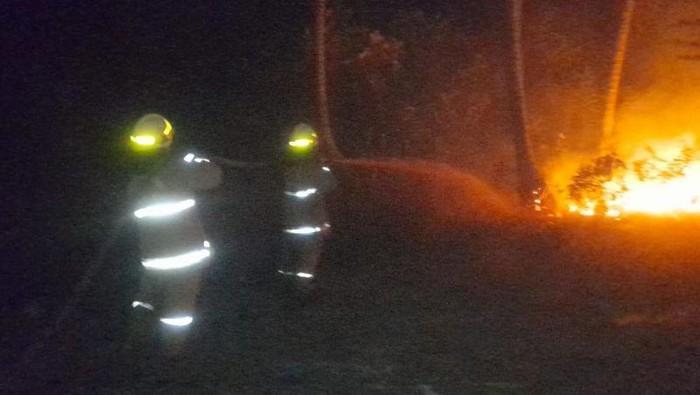 Kebakaran di Pulau Tidung Disebabkan Puntung Rokok, Luas Lahan Terbakar 1.000 Meter Persegi