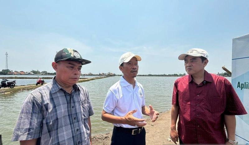 Berbasis Rumput Laut, Kementerian KKP Siap Fasilitasi Izin Edar Biostimulan