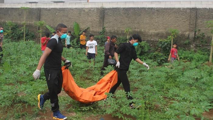 Penemuan Mayat di Kebun Singkong Bogor, Identitas Diketahui Warga Jagakarsa