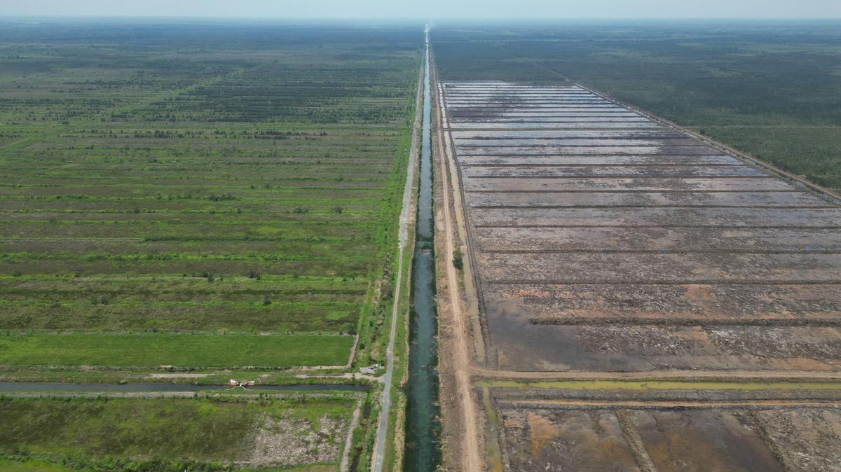 Jurus Kementan Antisipasi Dampak El Nino Terhadap Produksi Beras 2024