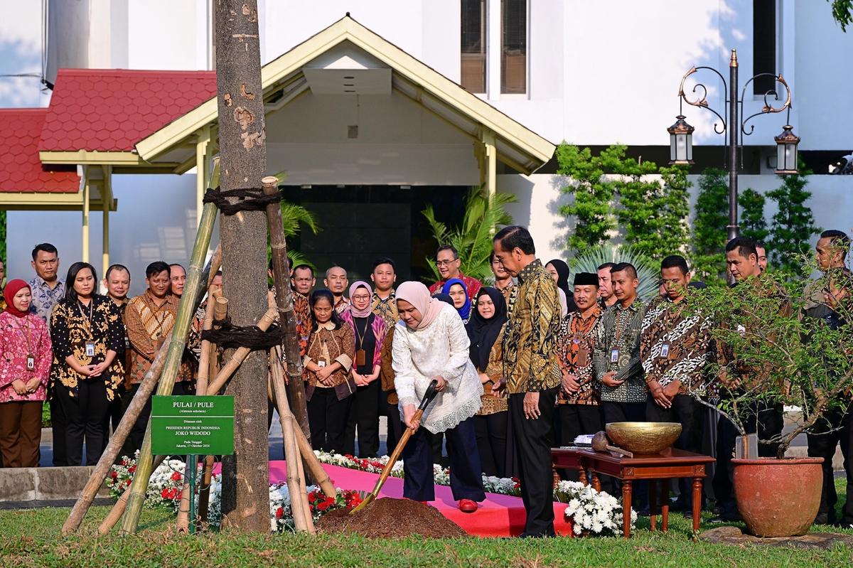 Jelang Purnatugas, Jokowi-Iriana Tanam Pohon Pulai dan Flamboyan di Istana