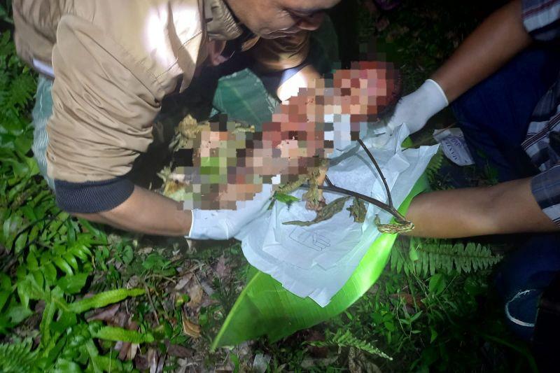 Geger! Warga Lombok Tengah Temukan Jasad Bayi di Kebun