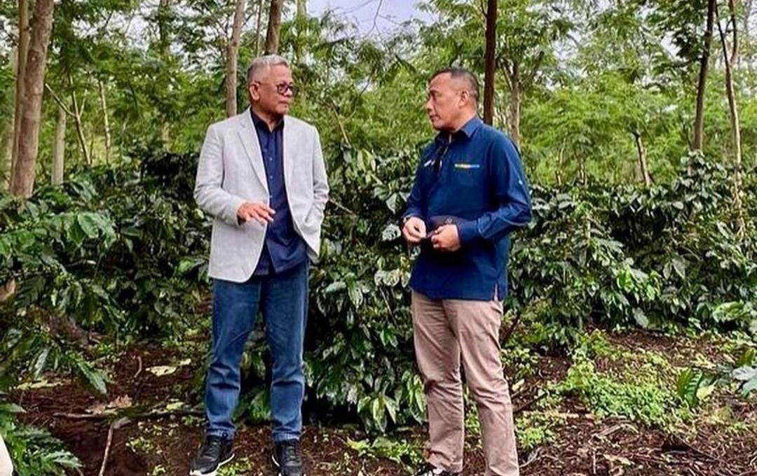 PalmCo Bawa Java Coffee Kembali Mendunia