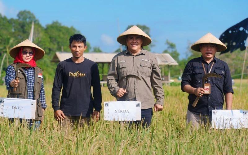 Wujudkan Ketahanan Pangan, Bintan Siapkan Lahan 19 Ribu Hektare