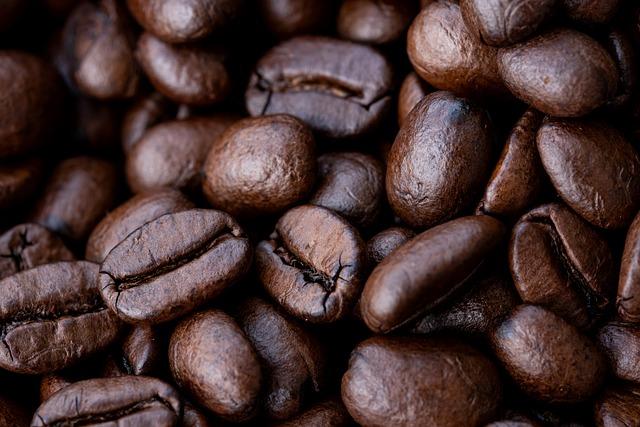 Ini Karakteristik Kopi Gayo yang Dinobatkan Sebagai Biji Kopi Terbaik Asia