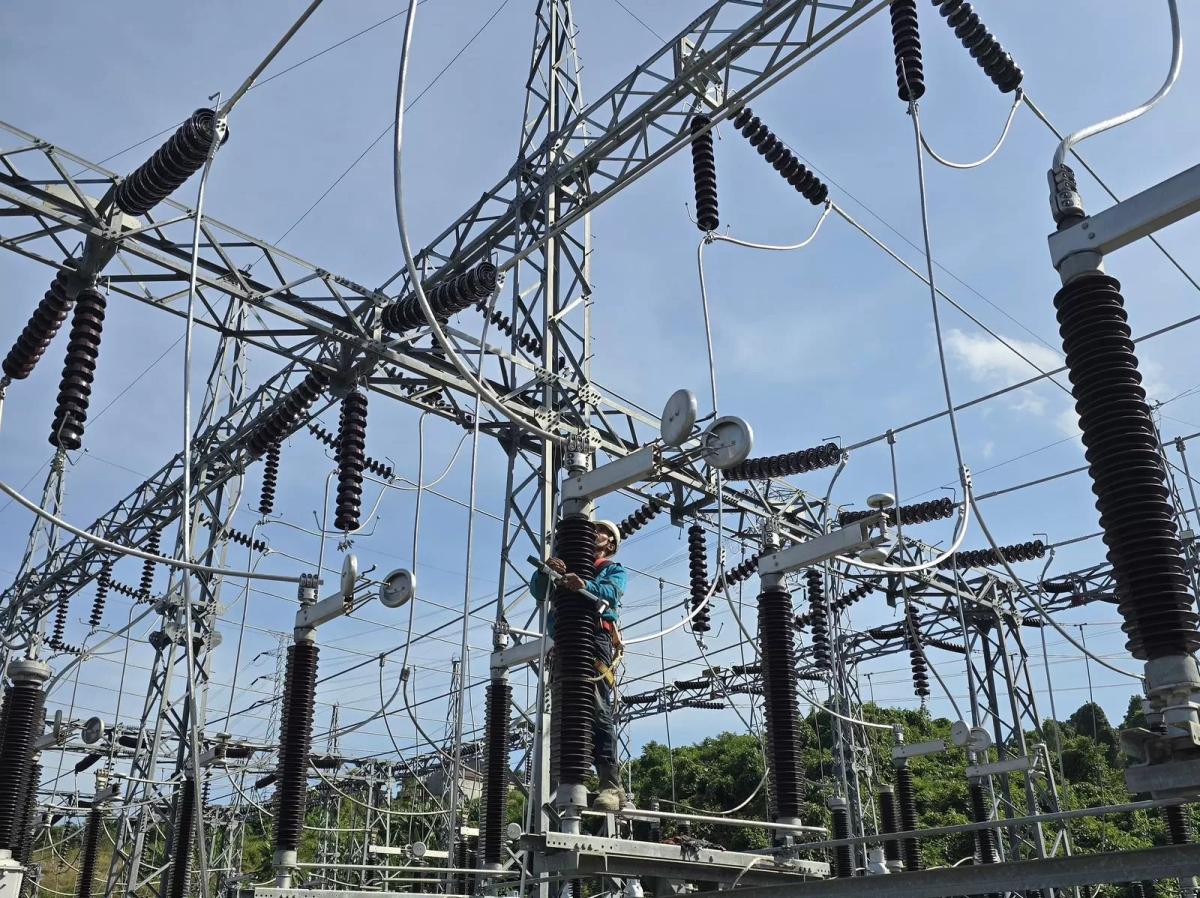 PLN dan Antam Jalin Kerjasama Hadirkan Listrik Bersih untuk Smelter Feronikel