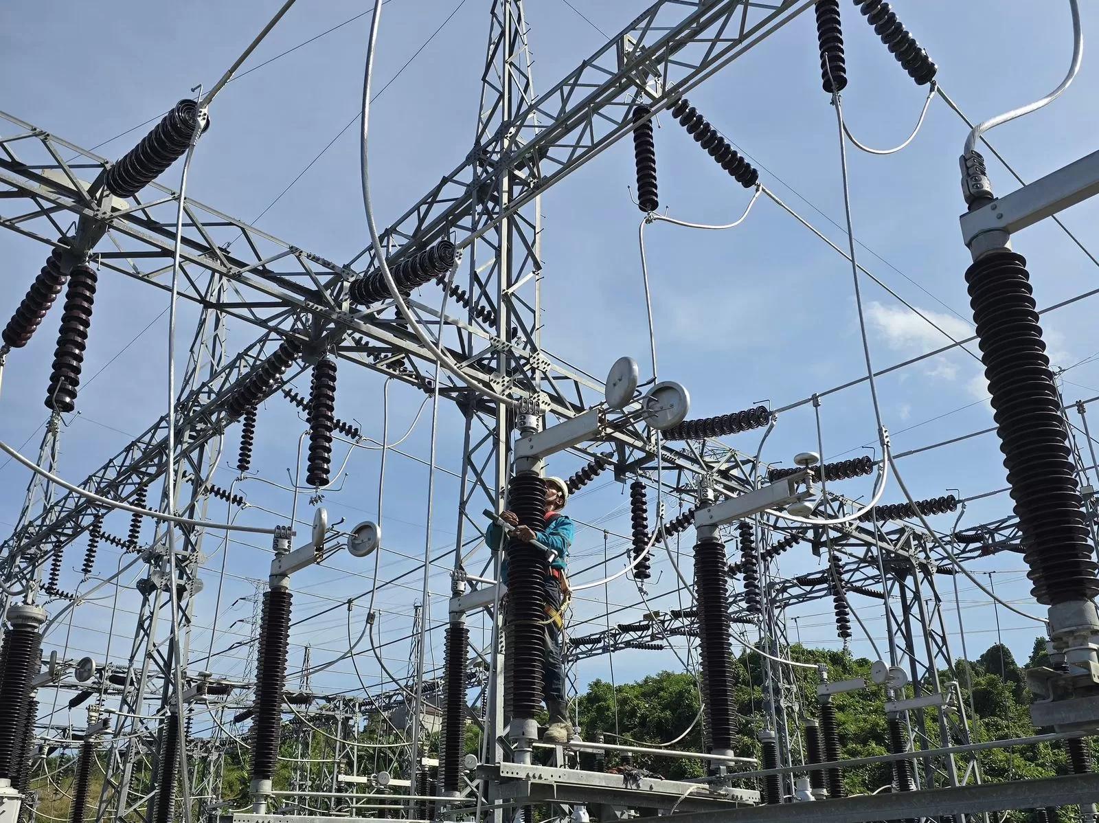 PLN dan Antam Jalin Kerjasama Hadirkan Listrik Bersih untuk Smelter Feronikel