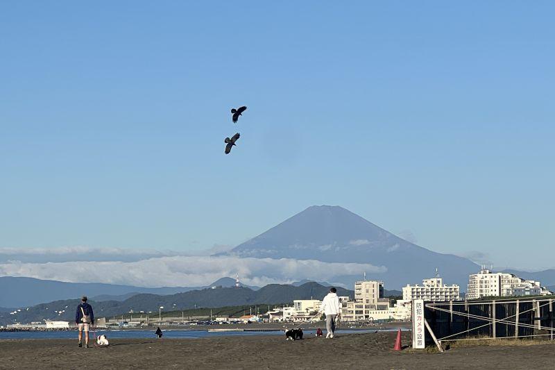 Fenomena Langka, Gunung Fuji Masih Tak Bersalju hingga Awal November