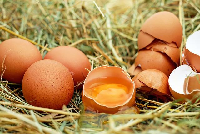 Ahli Kesehatan : Jangan Cuci Telur Sebelum Dimasak