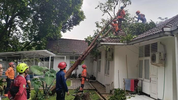 Cuaca Ekstrem Sebabkan Pohon Tumbang di Bogor, Rumah Dinas Kapolresta dan Warga Rusak Ringan