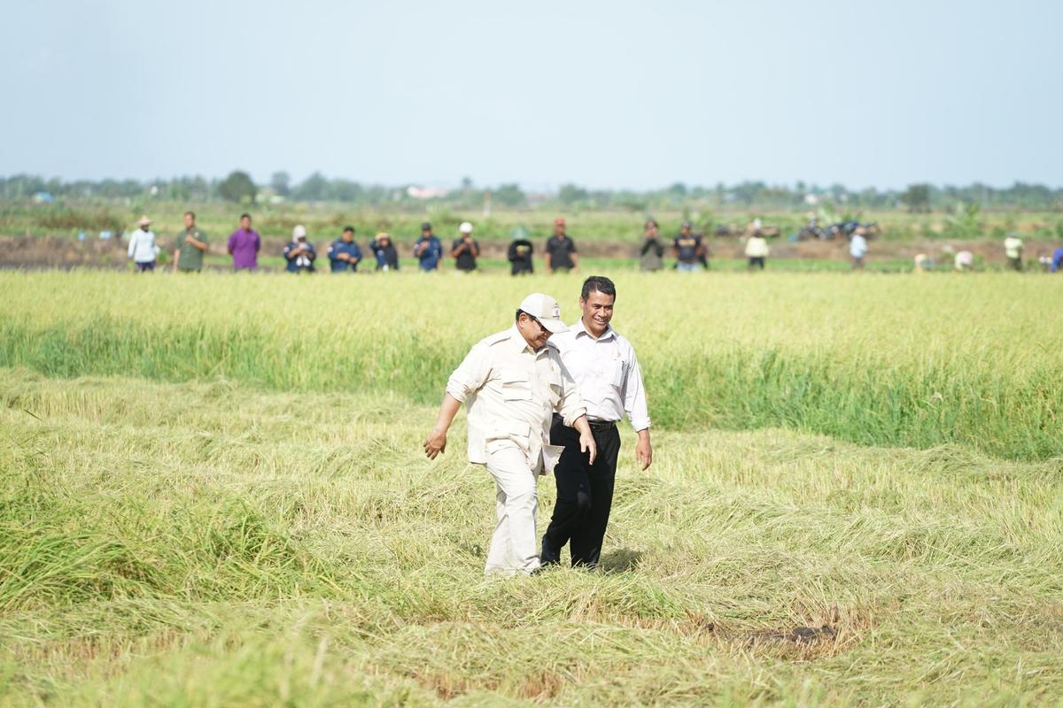 Cetak Sawah Berjalan Lancar, Masyarakat Papua Ucapkan Terima Kasih Kepada Presiden Prabowo Subianto